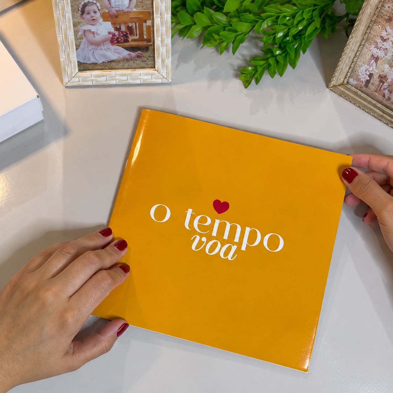 Ninho de Memórias — foto 3